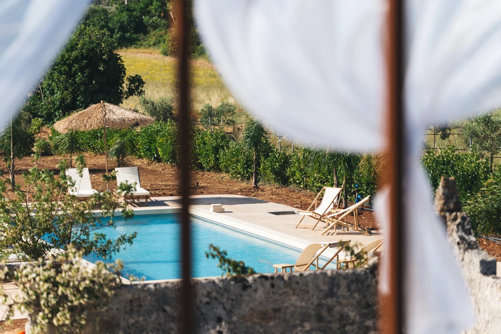 Esterno della masseria con ulivi